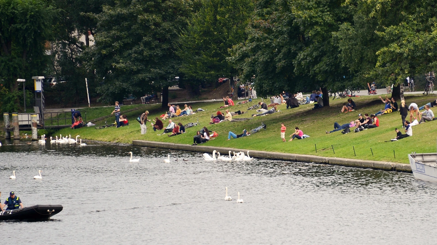 Zu sehen ist der Blick auf das Ufer am Landwehrkanal. Auf der Wiese am Ufer liegen viele Menschen im Gras und auf dem Wasser sind viele weiße Schwäne.