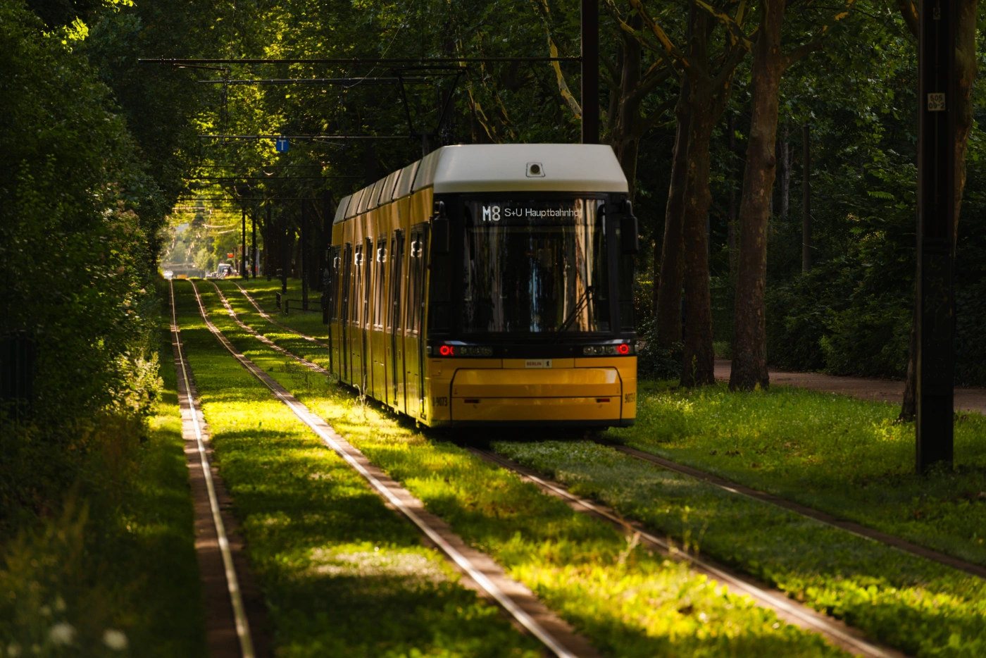 Eine Flexity auf einem Grüngleis